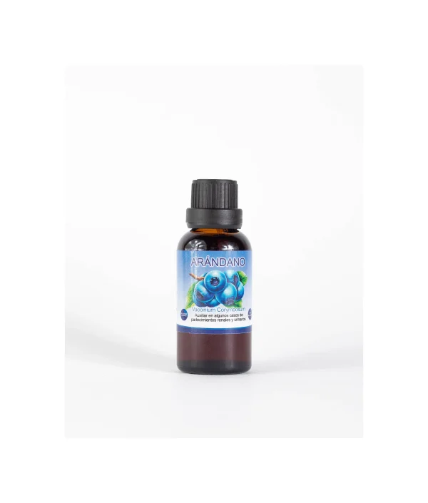 Concentrado de Arándanos de Natzin | Auxiliar en el Bienestar de las Vías Urinarias | Suplemento Natural