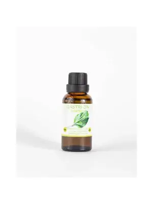 Gatri-zin (Llantén) de Natzin | Auxiliar en el Bienestar Digestivo y Respiratorio | Suplemento Herbal