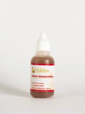 Thuja Occidentalis de CNE | Solución natural para el bienestar general y de la piel | 60 ml