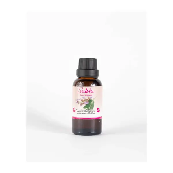 Salvia de Natzin | Apoyo en el Bienestar Digestivo y General